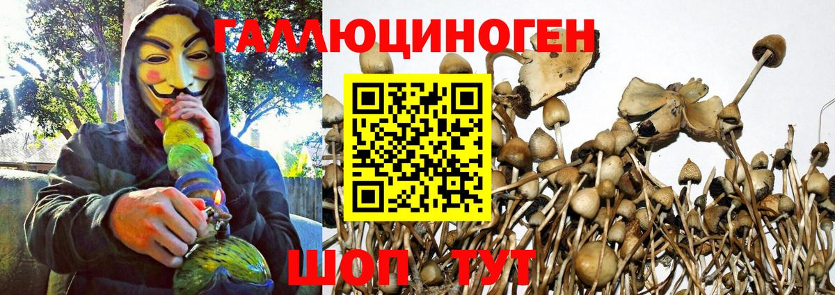 Галлюциногенные грибы MAGIC MUSHROOMS  дарнет шоп  Кирово-Чепецк  Вход с VPN 